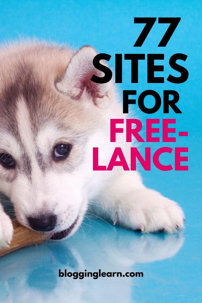 Pinterest pin with sky blue background and a wolf like puppy chewing on some hide, and a slight reflection of him from the shiny floor. For 77 Sites for Freelance.